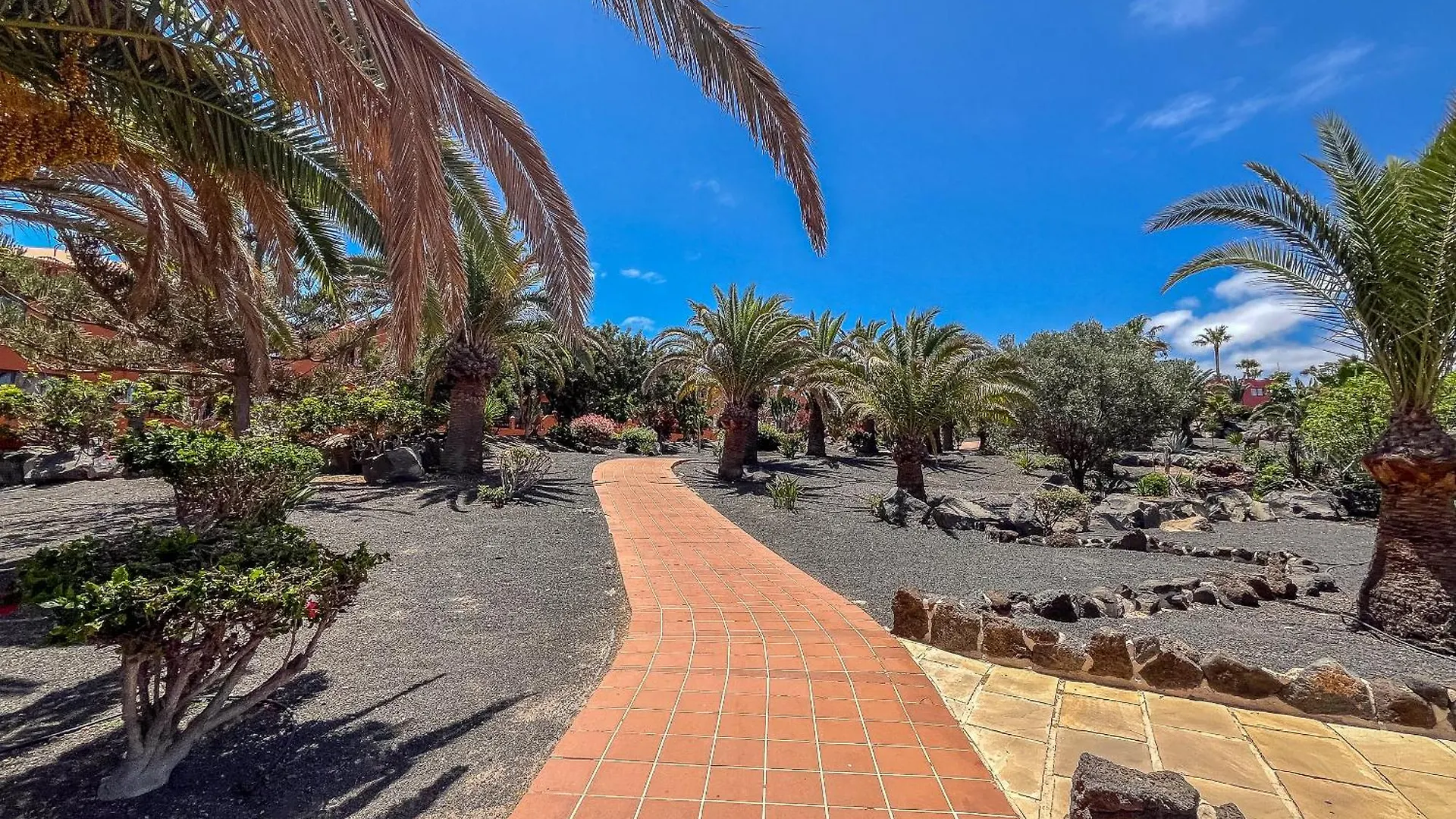 Apartamentos Oasis Royal Corralejo F314 Apartment